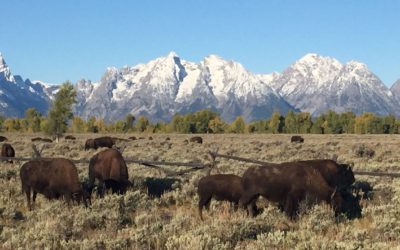 Valuing Nature is Fundamental to our Pursuit of Happiness