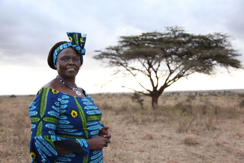 International Women’s Day: Highlighting Influential Women in Conservation