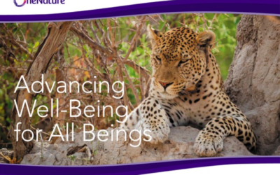 Advancing Well-Being for All Beings