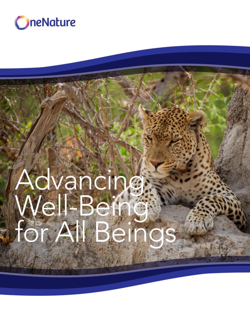 One Nature Institute: Advancing Well-Being for All Beings