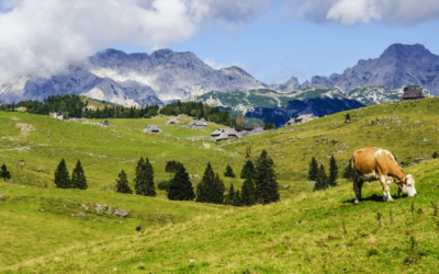 IPBES’ Assessment Report on the Diverse Values and Valuation of Nature