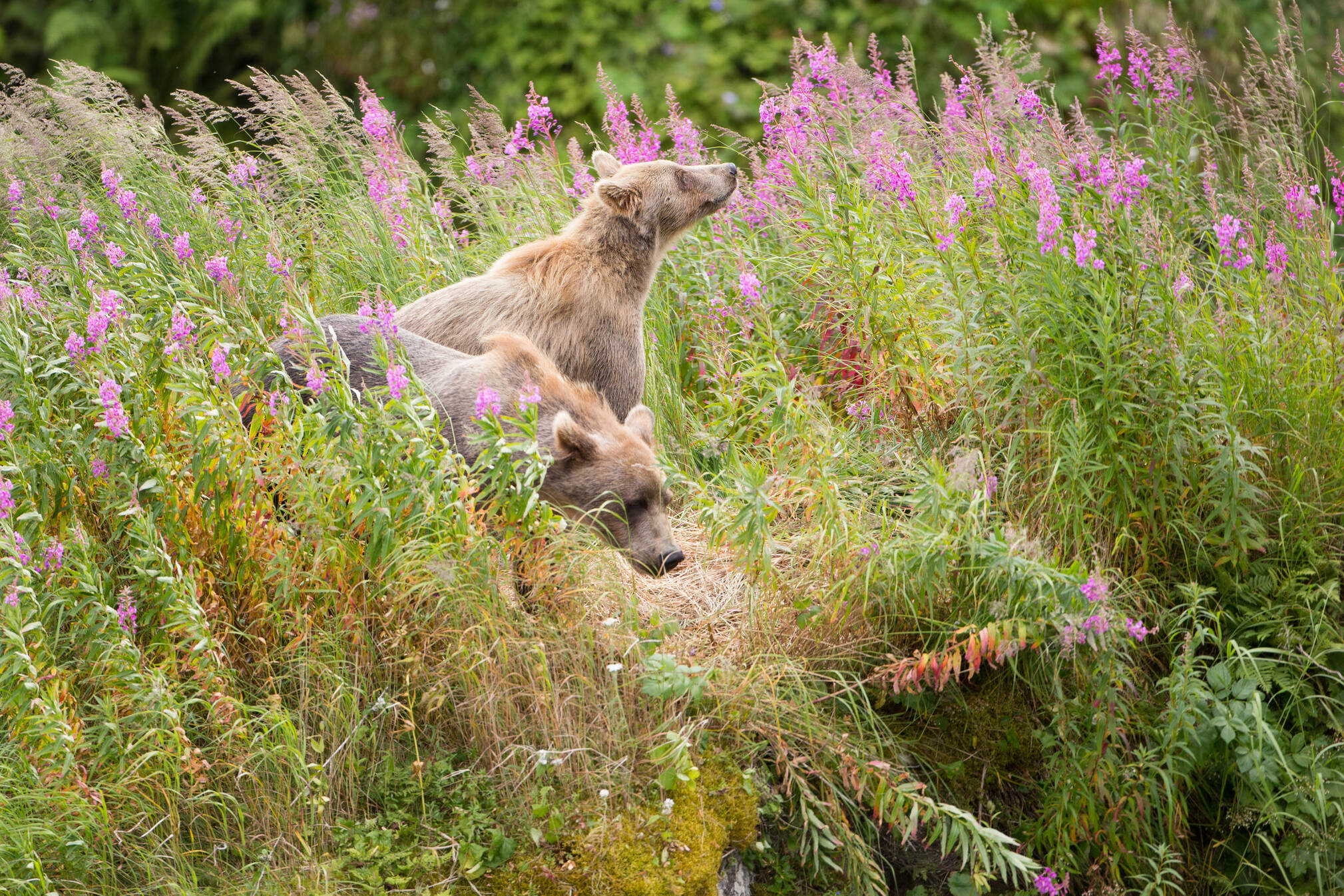 what-is-a-well-being-approach-to-conservation-exactly-onenature