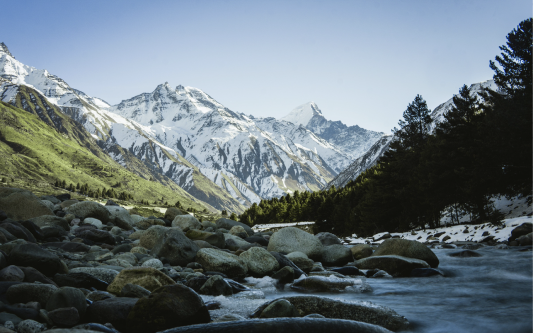 The Himalayan Journal