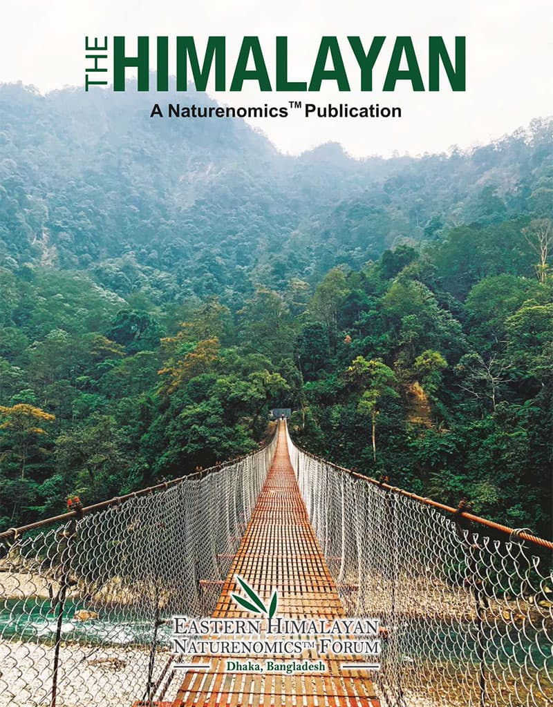 The Himalayan Publication cover