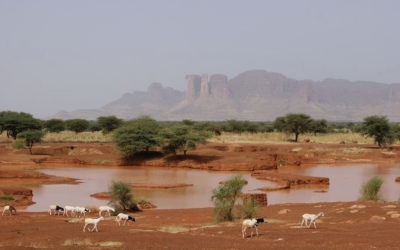 The Restoration of Sahelian Landscapes