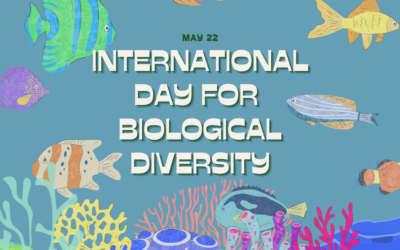 International Day for Biological Diversity