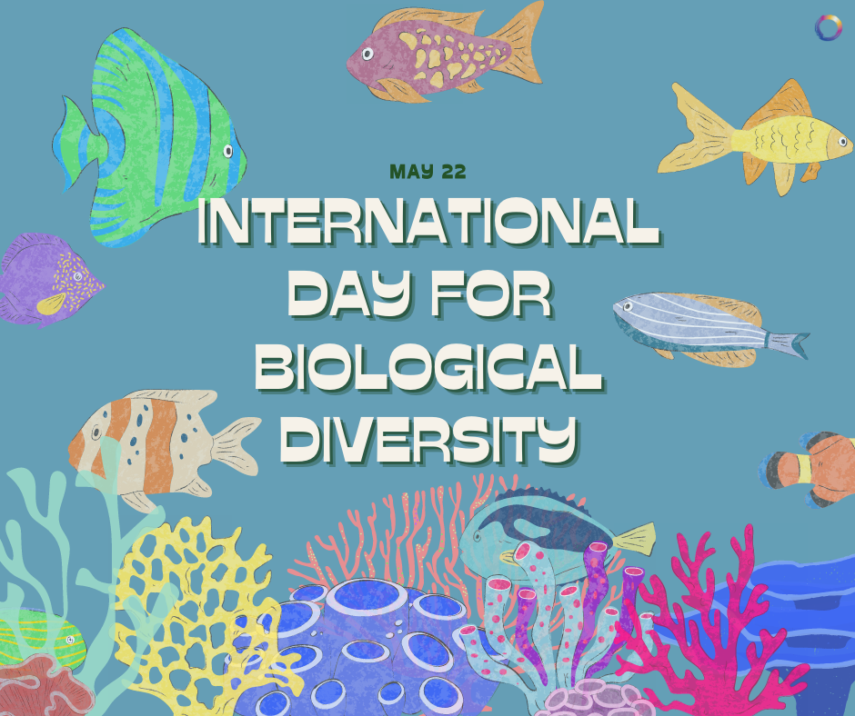 International Day for Biological Diversity OneNature