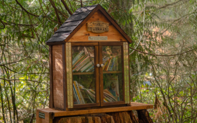 Community-Strengthening Through a Little Free Library 