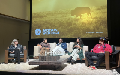 Stories of connection at Jackson Wild