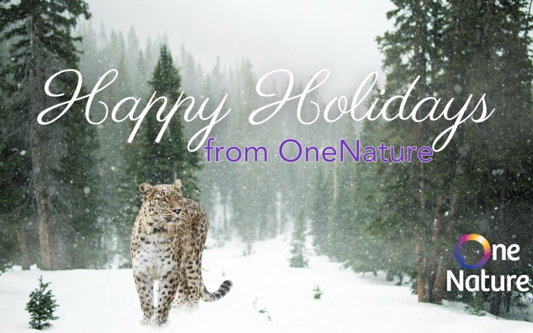 Happy Holidays from OneNature