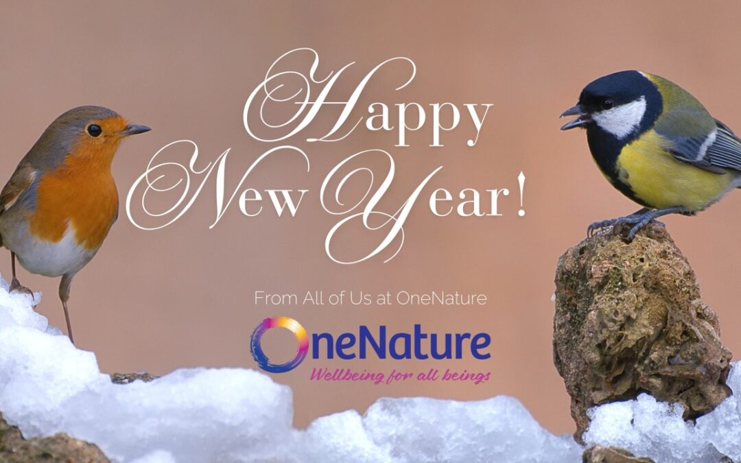 Wishing You a Joyful and Connected New Year! 🎉