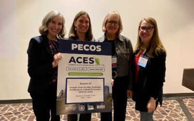 Reflections on ACES 2024: A Celebration of Ecosystem Services and Collaboration