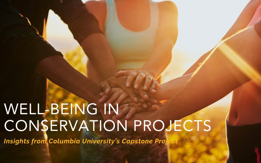 Bridging Well-Being and Conservation: Insights from Columbia University’s Capstone Project