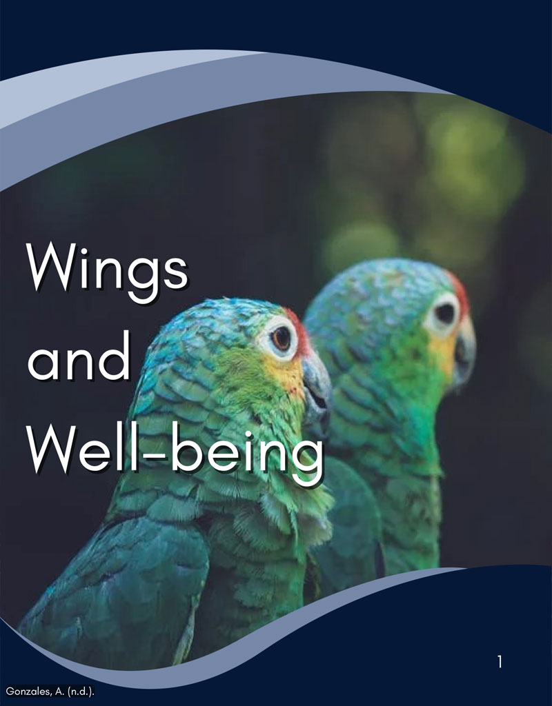 Cover of the Wings and Well-Being Publication