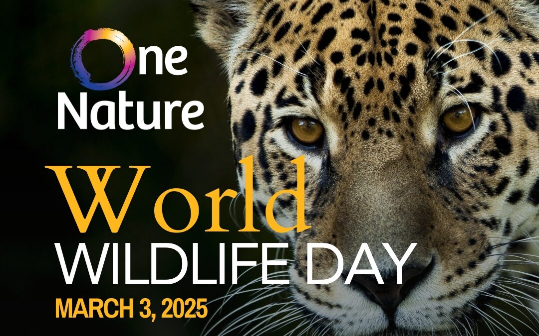 Celebrating World Wildlife Day with OneNature