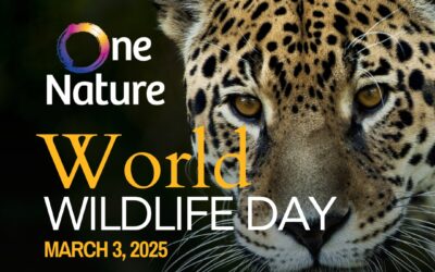 Celebrating World Wildlife Day with OneNature