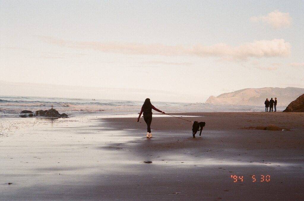 Oregon Coastal beachwalk with dog pic courtesy Dehara Weeraman