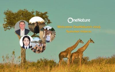 Meet Our 2025 Summer Interns at OneNature