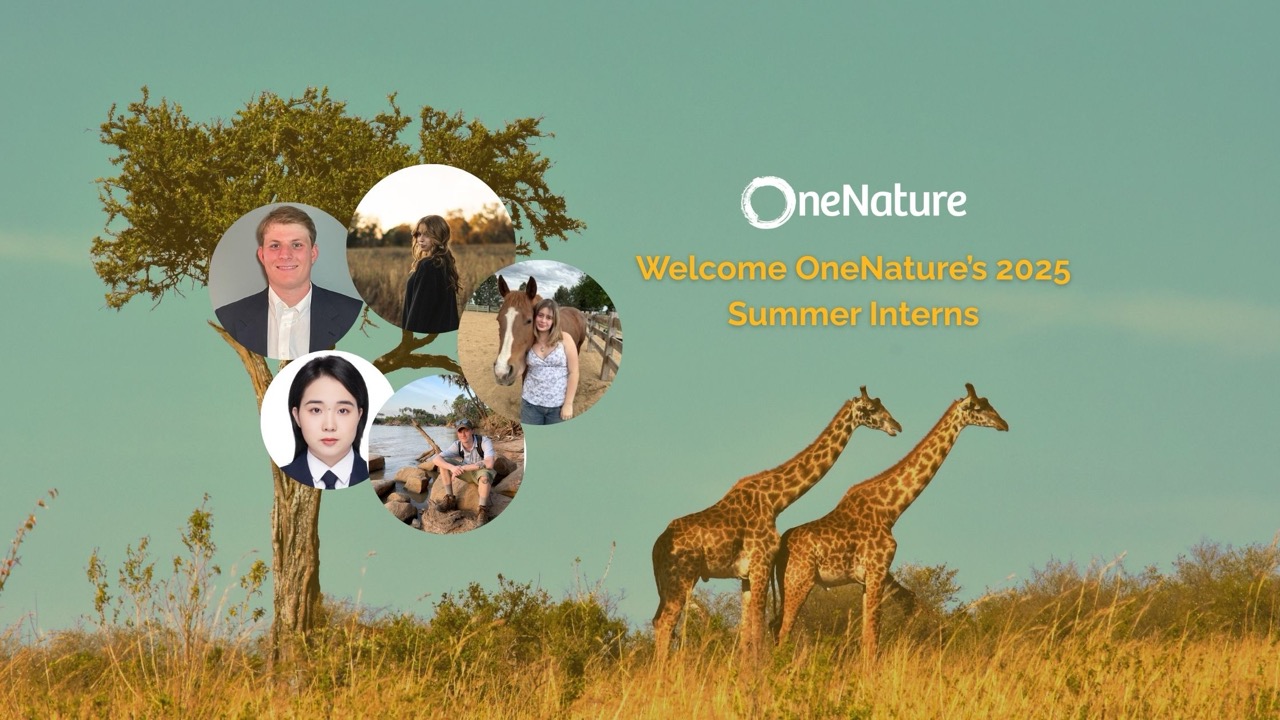 Meet Our 2025 Summer Interns at OneNature - OneNature