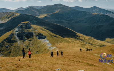 An Opportunity for Foundations: Integrating Community Well-being into Environmental Strategy