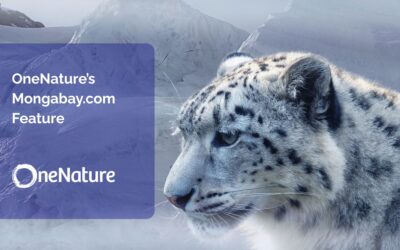 Culture at the Core: Our Mongabay Feature on Conservation & Community