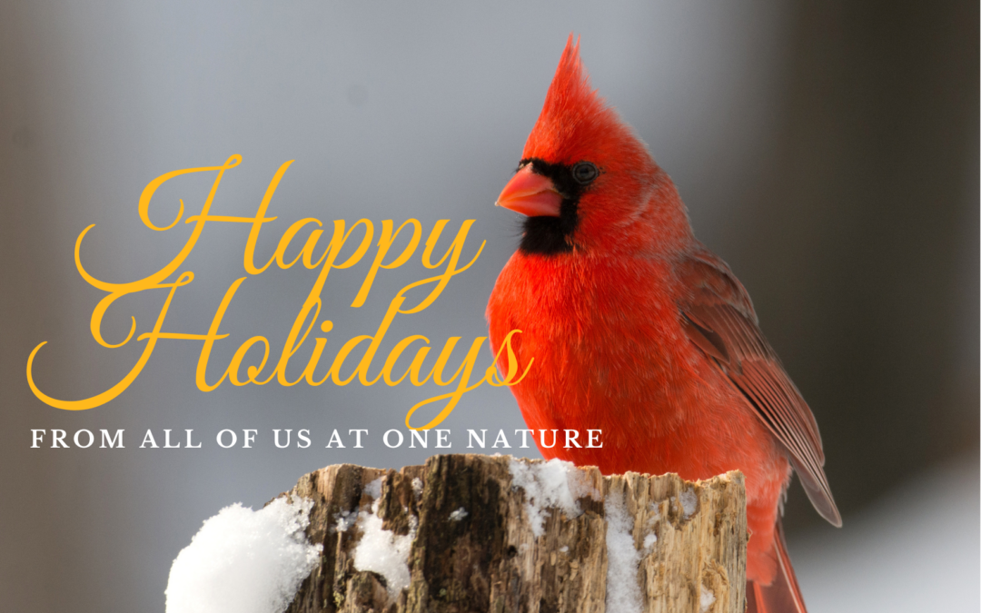 Gratitude & Impact: Thank You for Standing With Us in 2025